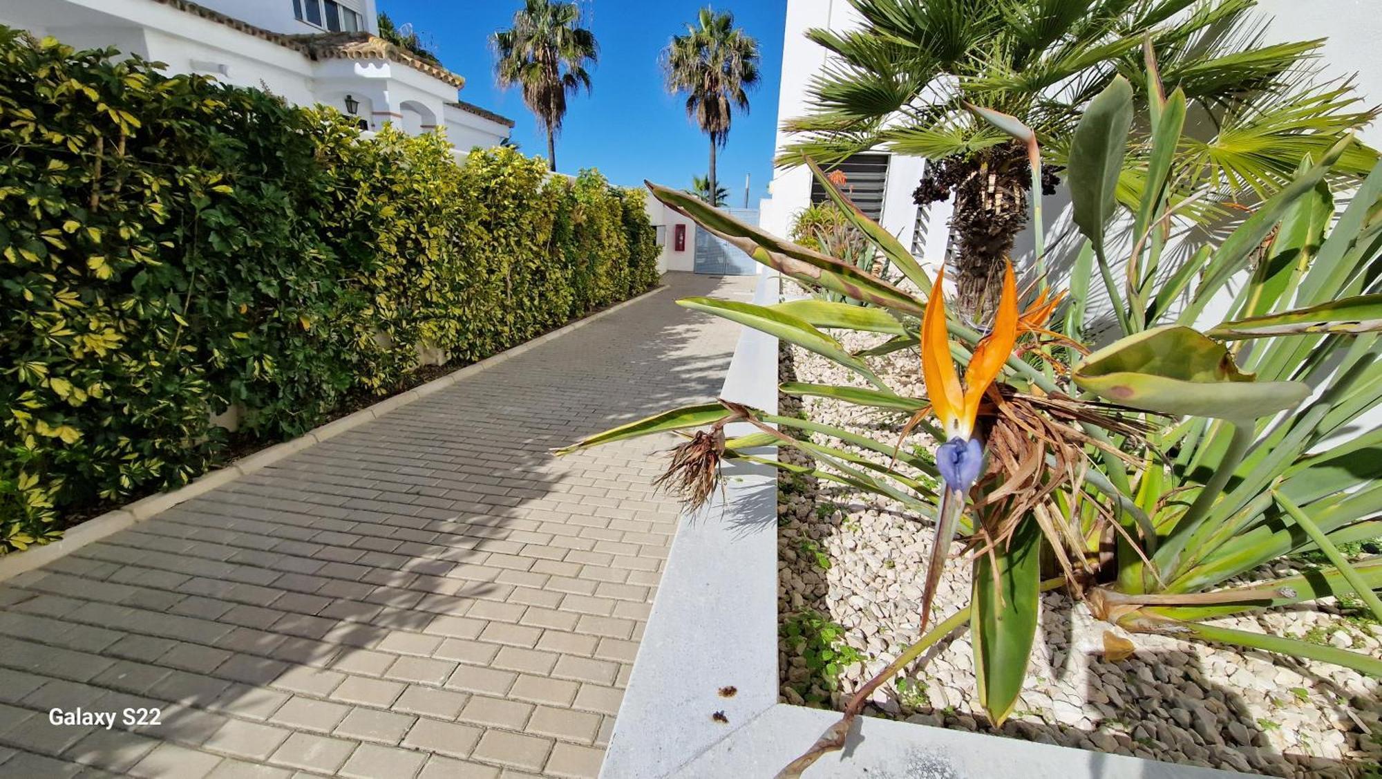 Boutelou Playa Con Vistas Al Mar Apartment Sanlucar de Barrameda Ngoại thất bức ảnh